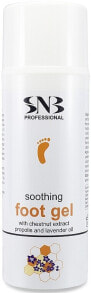  SNB Professional