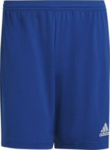 Men's Sports Shorts