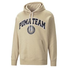 Puma Team Pullover Hoodie Mens Beige Casual Outerwear 53889967 купить в аутлете