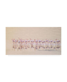 Trademark Global ahmed Thabet Marching Pinks Canvas Art - 15