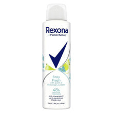 Rexona MotionSense Stay Fresh Blue Poppy & Apple 150 ml antiperspirant Deospray für Frauen купить онлайн