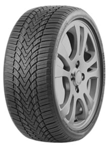 Шины зимние Roadmarch Winterxpro 888 M+S 225/40 R19 93V