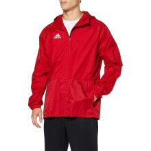 Мужские спортивные куртки Adidas CON18 Rain Jkt