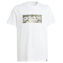 Men's sports T-shirts and T-shirts