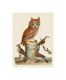 Trademark Global alexander Wilson Wilson Owls II Canvas Art - 19.5