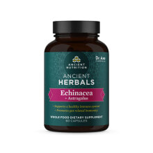 Эхинацея Ancient Nutrition Ancient Herbals - Echinacea plus Astragalus -- Эхинацея плюс Астрагал - 60 капсул