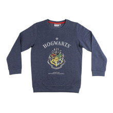 Спортивная одежда, обувь и аксессуары cERDA GROUP Harry Potter Sweatshirt