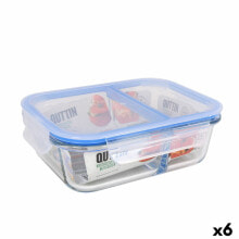 Containers and lunch boxes