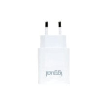 IGGUAL IGG318188 12W USB Wall Charger