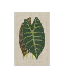 Trademark Global unknown Leaves on Linen III Canvas Art - 15
