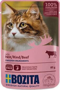 Wet Cat Food