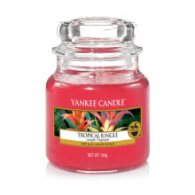 Освежители воздуха и ароматы для дома aromatic Candle Classic Small Tropical Jungle 104g