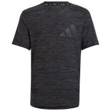 Men's sports T-shirts and T-shirts