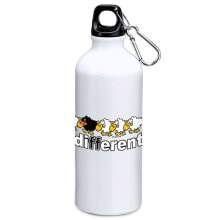 Sports Water Bottles