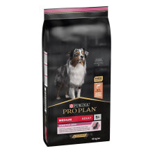 Products for dogs