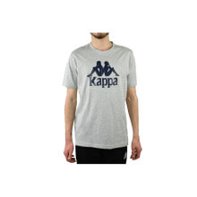 Мужские спортивные футболки мужская футболка спортивная серая с принтом на груди Kappa Caspar T-Shirt M 303910-15-4101M
