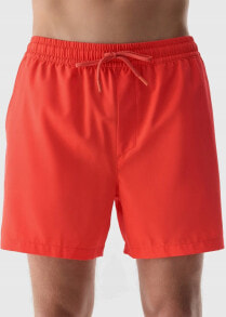 Swimming trunks and shorts