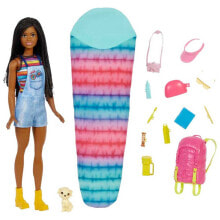 Куклы модельные BARBIE It Takes Two Brooklyn Camping And Accessories Doll