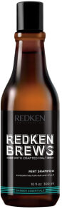 Minzshampoo für Haare und Kopfhaut - Redken Brews Mint Shampoo