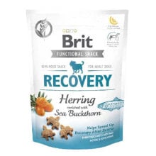 BRIT Recovery Herring 150 g Dog Food