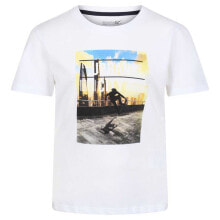 REGATTA Bosley V Short Sleeve T-Shirt