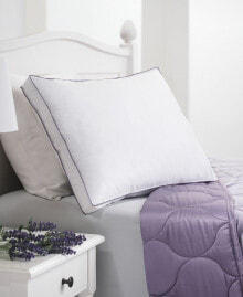 Allied Home dream Infusion Lavender Scented Soft Touch Pillow, Standard