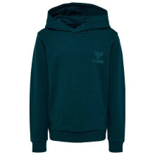 Купить толстовки Hummel: HUMMEL Fastwo hoodie