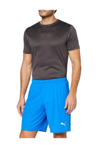 Мужские спортивные шорты PUMA (Elomi)