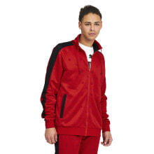 Men's Sports Jackets