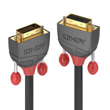 Lindy 36232 DVI кабель 2 m DVI-D DVI-I Черный