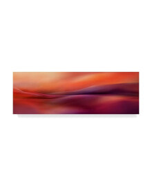 Trademark Global heidi Westum 'A New Day' Canvas Art - 47