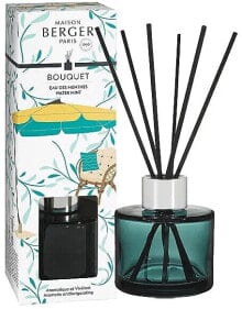 Maison Berger Water Mint - Aroma-Diffusor