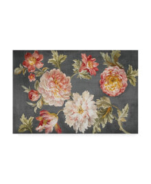 Trademark Global danhui Nai Mixed Floral Charcoal Canvas Art - 19.5