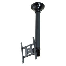 NEWSTAR Ceiling Mount 10-40´´ Tilt