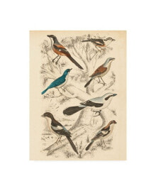 Trademark Global milne Avian Habitat V Canvas Art - 15