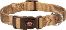 Dog Collars