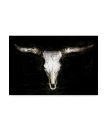 Trademark Global pH Burchett Cow Skull Canvas Art - 27