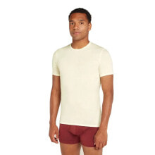 ICEBREAKER Merino 150 Anatomica Short sleeve base layer