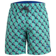 Swimming trunks and shorts