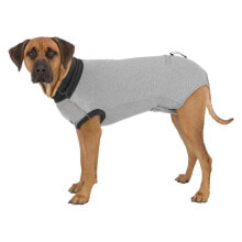 Clothing and shoes for dogs