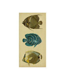Trademark Global vision Studio Trio of Tropical Fish III Canvas Art - 37