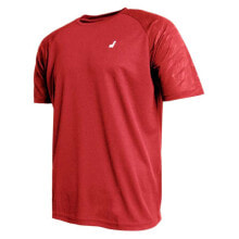 Men's sports T-shirts and T-shirts