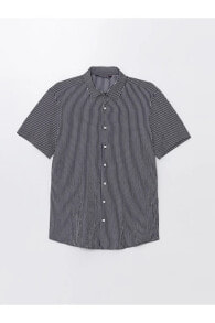 Men's Shirts