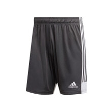Мужские шорты Мужские шорты спортивные футбольные серые Adidas Tastigo 19