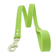 YOUPET Beach Leash