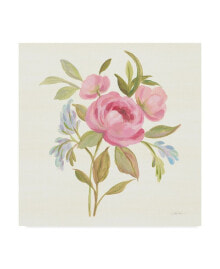 Картины, постеры, гобелены, панно silvia Vassileva Petals and Blossoms IV Canvas Art - 15" x 20"