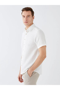 Men's Shirts