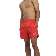 Swimming trunks and shorts