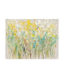 Trademark Global tim Otoole Floral Cluster I Canvas Art - 20