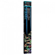 Products for fish and reptiles